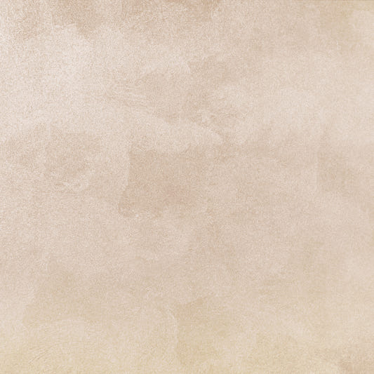 Moderni minimalistinen beige seinämaalaus