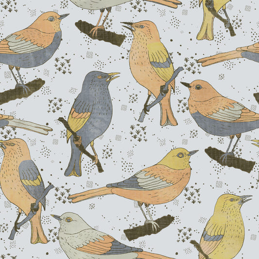 Fond d'écran d'oiseaux et gris