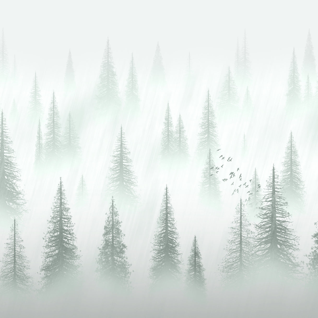 Foresta Sfondo Serenity