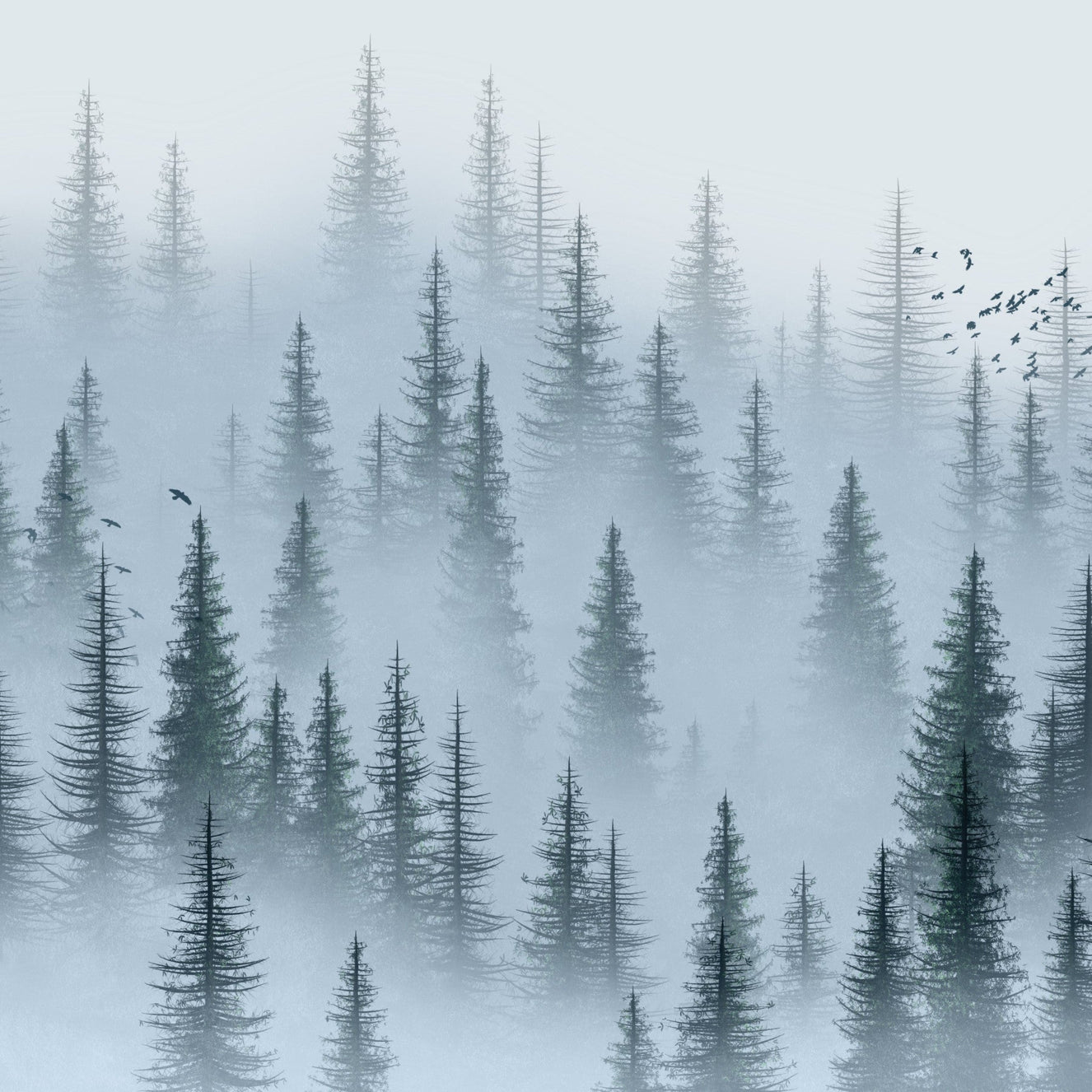 Sfondo di Woods Misty