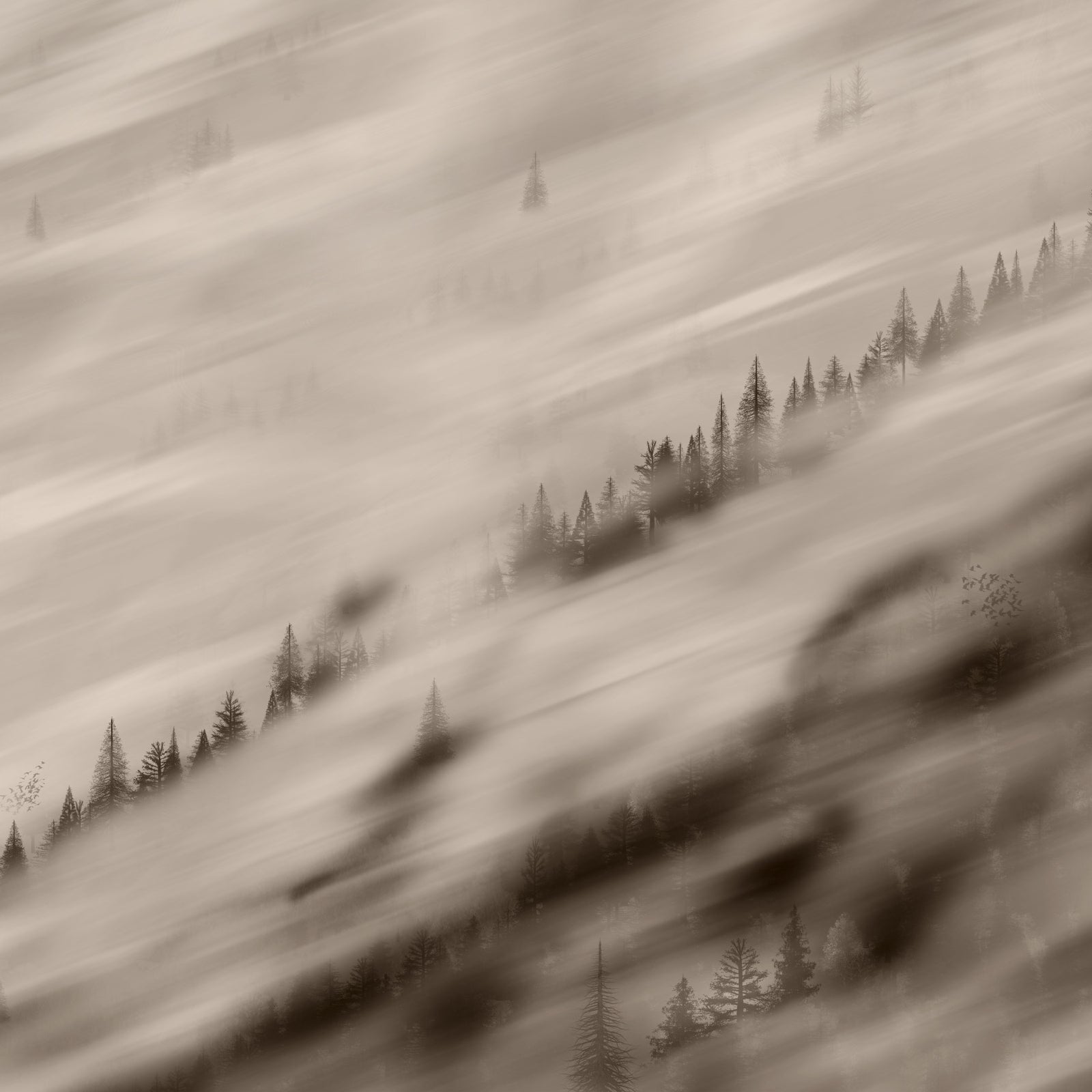 Forest Valley Sepia Tapete