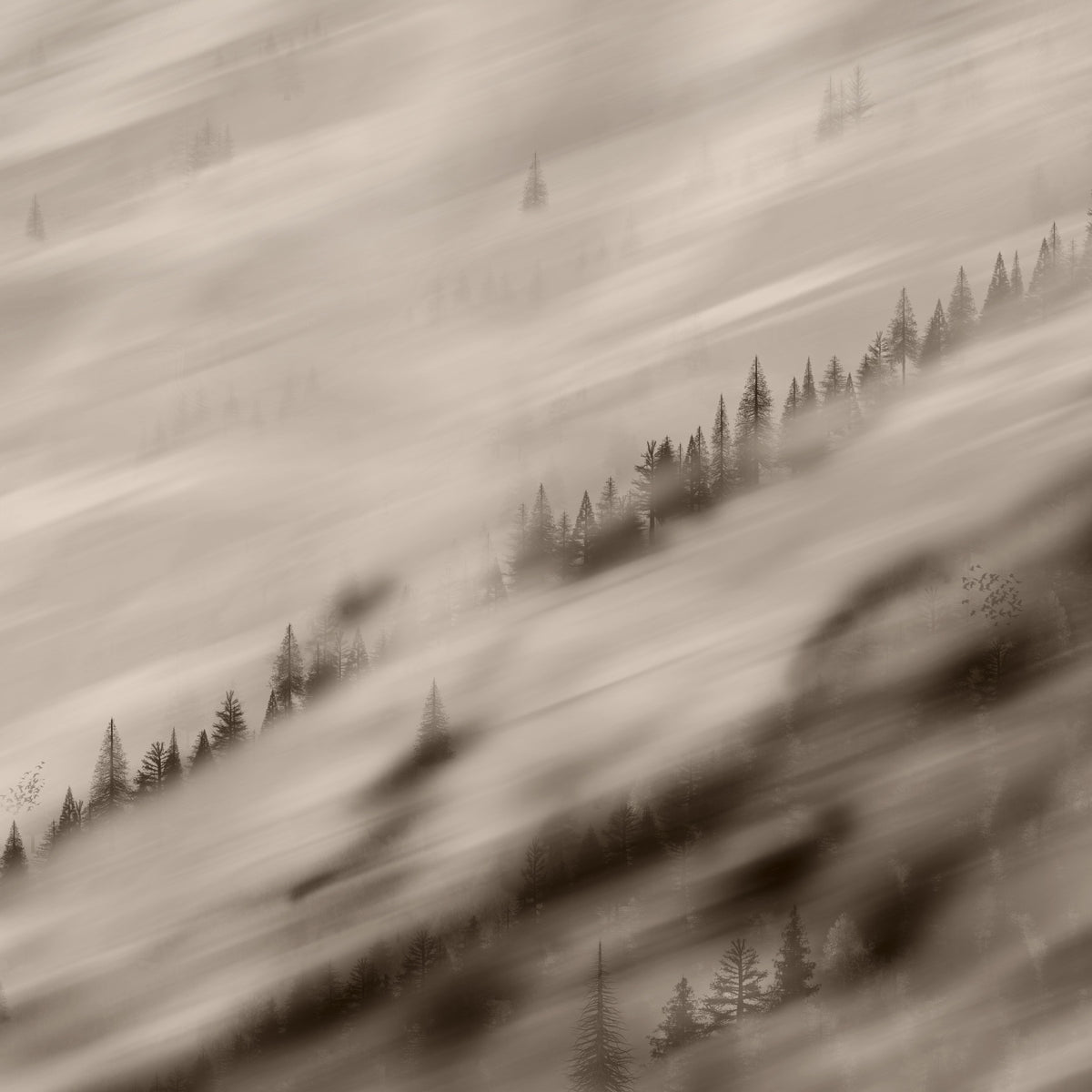 Forest Valley Sepia Tapete in your room — zoomed