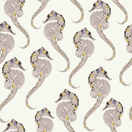 Hippocampus Wallpaper