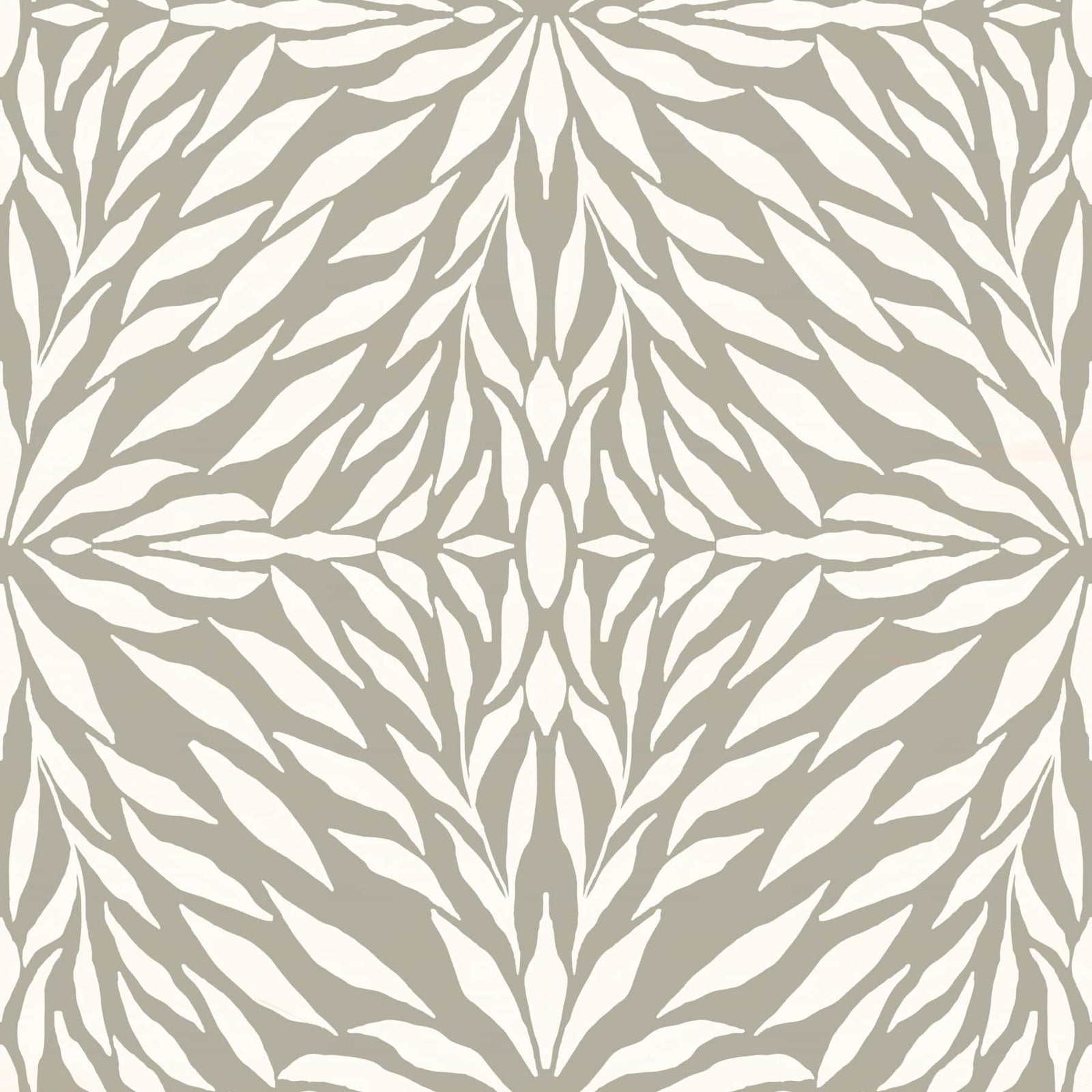 Hojas cenitales - Fondo de pantalla de madera a la deriva