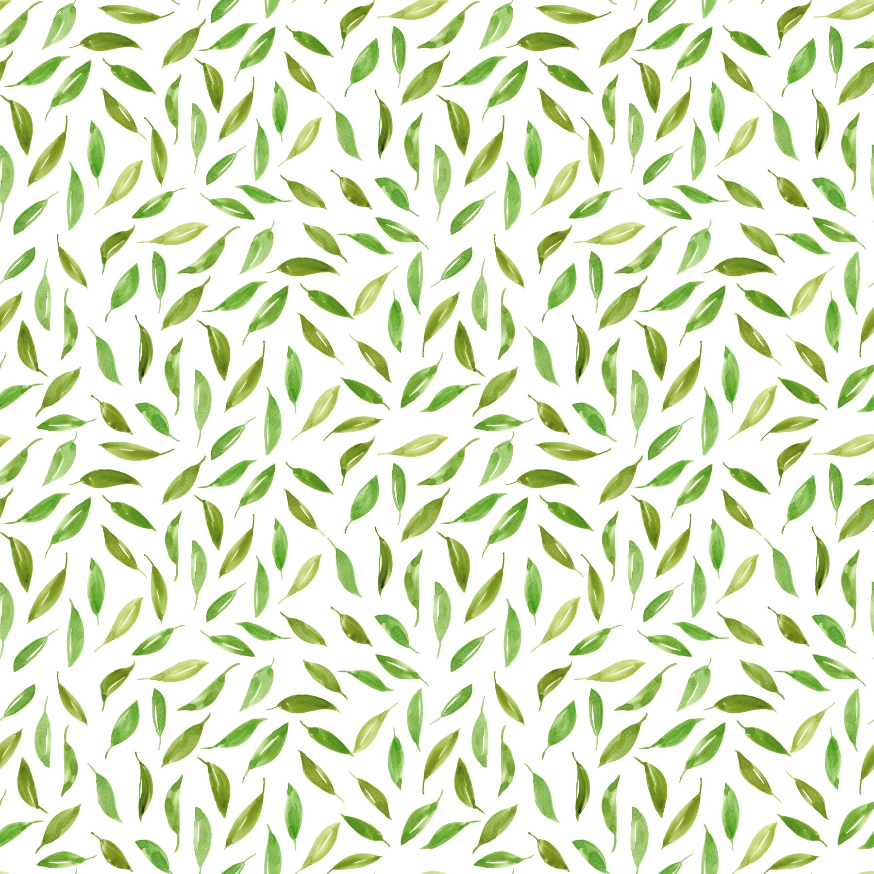Sfondo con foglie sparse primaverili