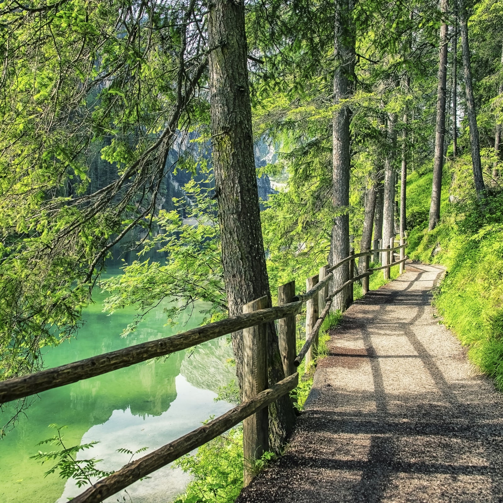 Emerald Lake Path Wall Mural