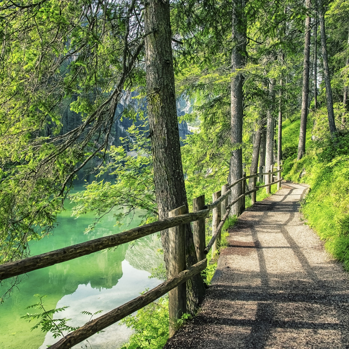 Emerald Lake Path Wall Mural in your room — zoomed