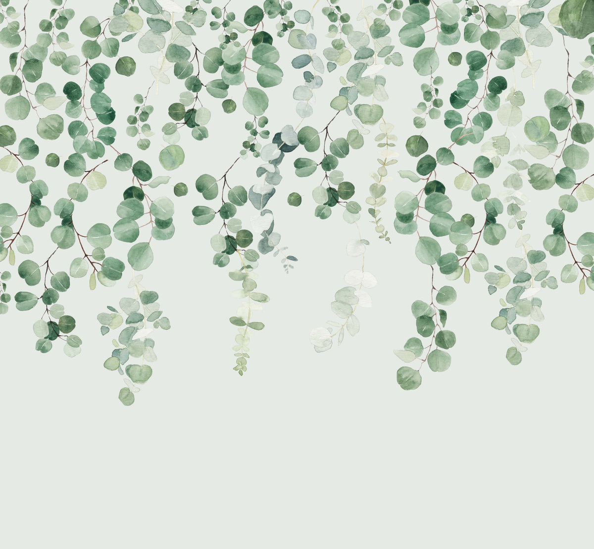 Peinture murale d'eucalyptus in your room