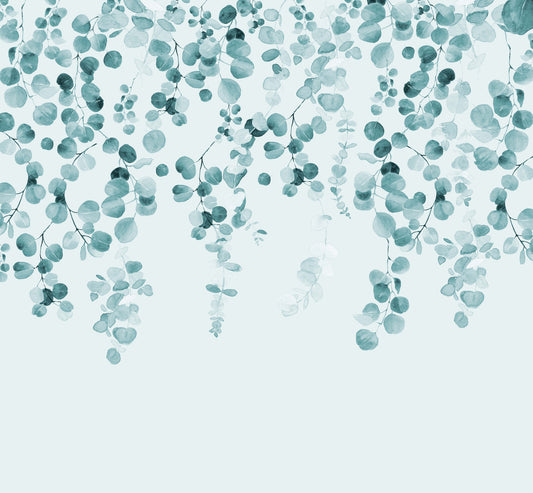 Eucalyptus teal vægmaleri