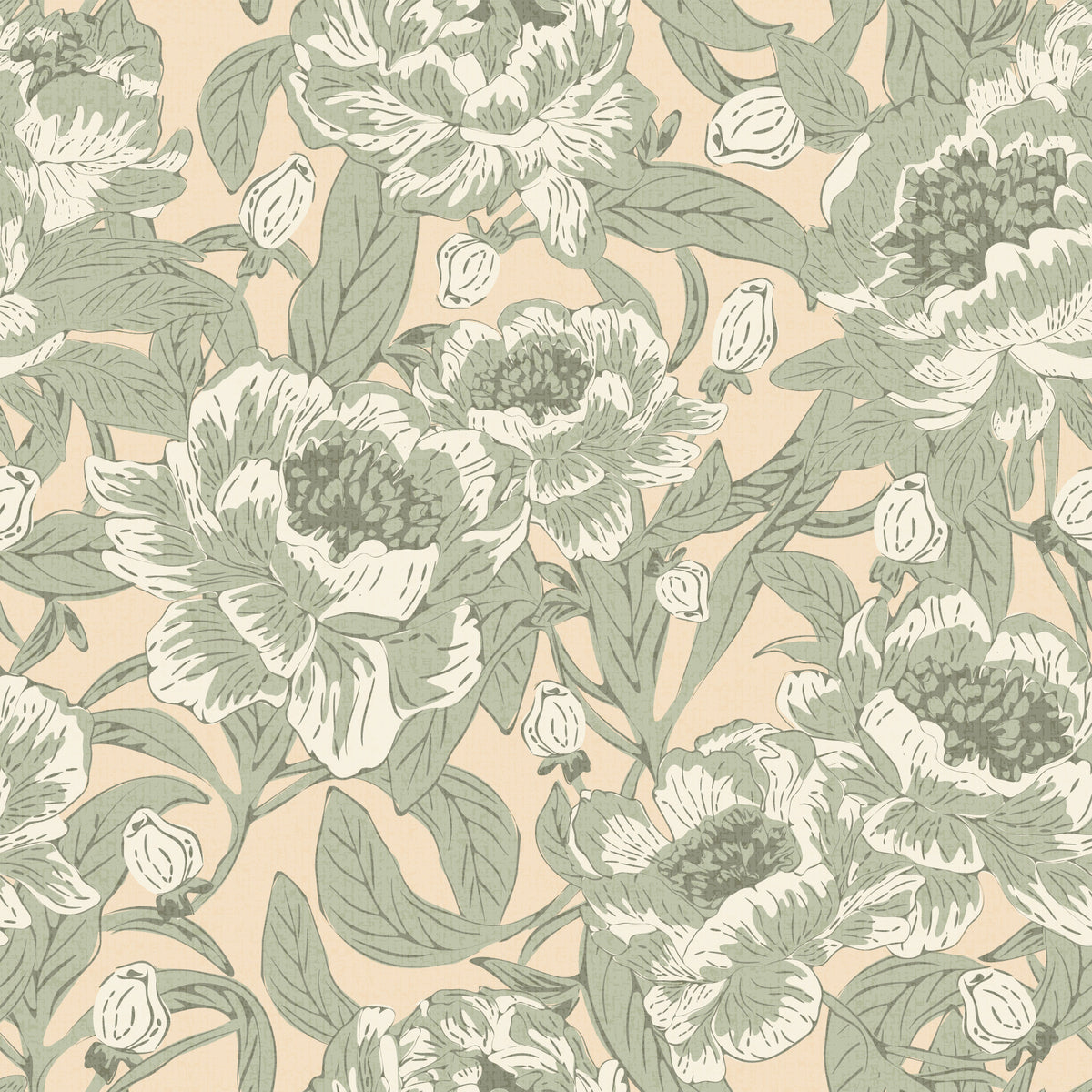 Romanttiset pionit salvia vihreä taustakuva⁠ in your room — zoomed