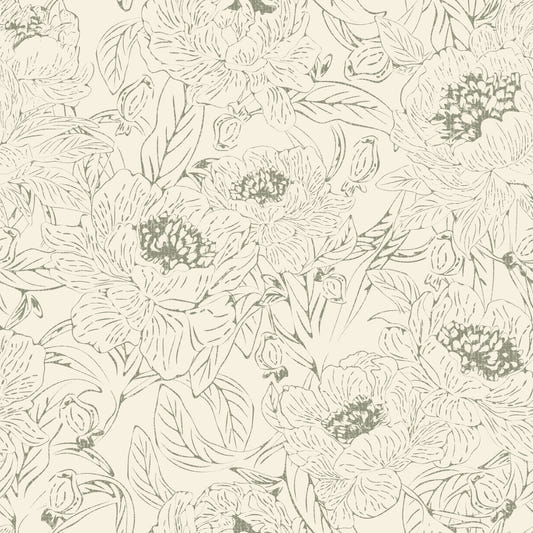Romantiske Peonies Line Art Green Wallpaper⁠