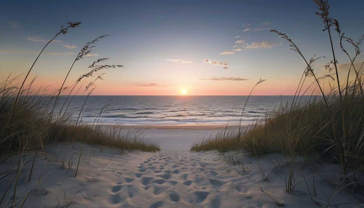 Coastal Path to Tranquility Wall Mural in your room