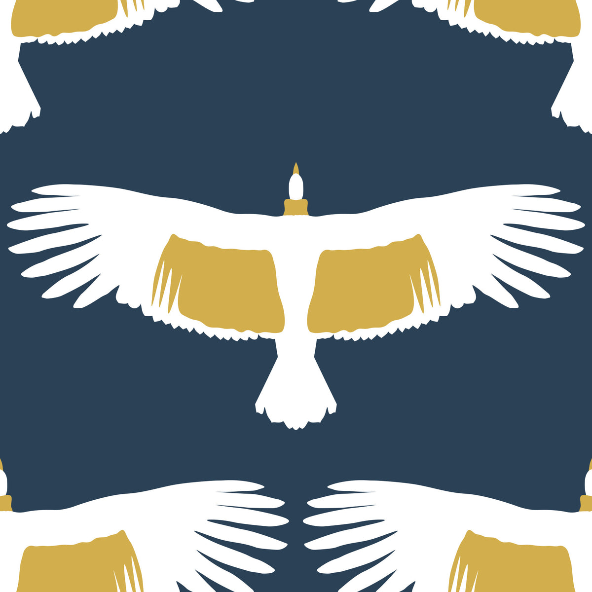 Wilde Andenkondors Wallpaper⁠ in your room — zoomed