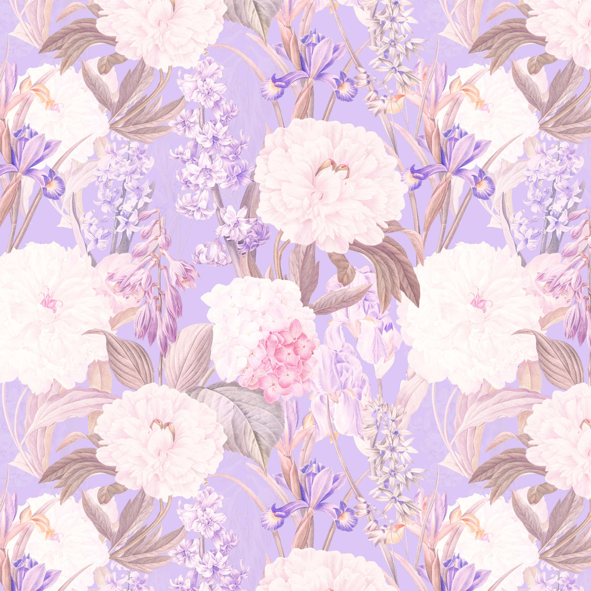 Ixia Paeonia Wall Mural