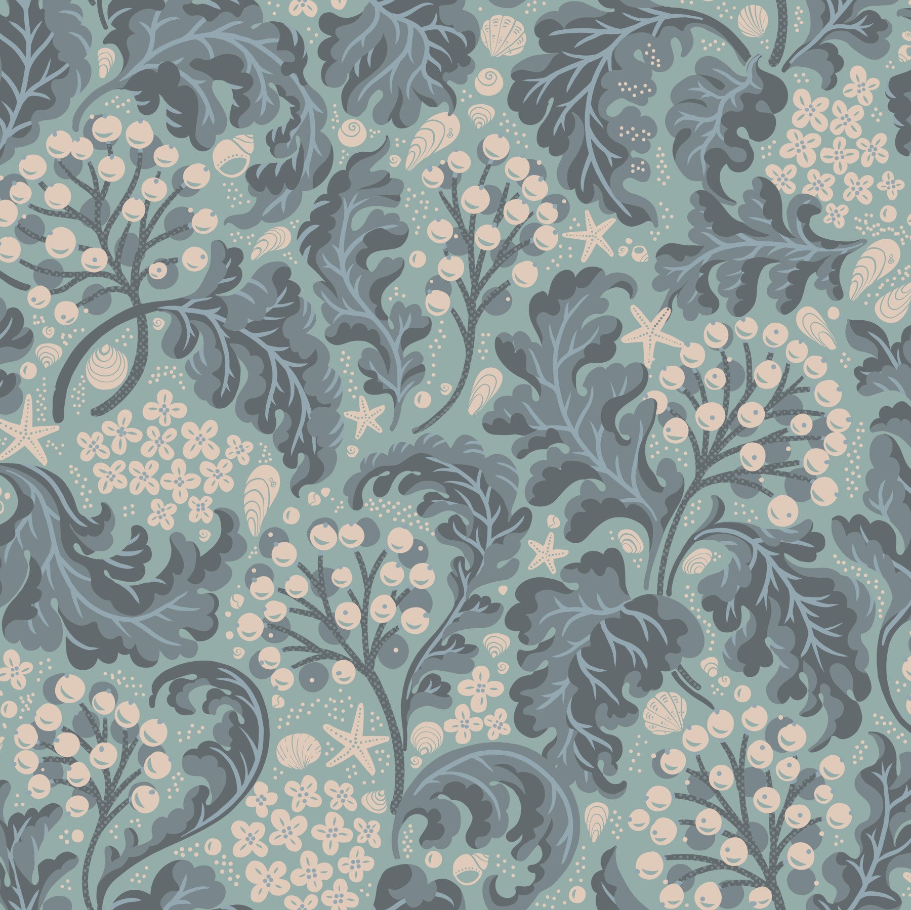 Sea Kale - Wallpaper di turchese acquatico⁠ in your room — zoomed