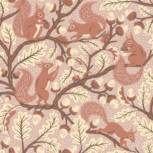 Squirrels in Oak tree Wallpaper⁠