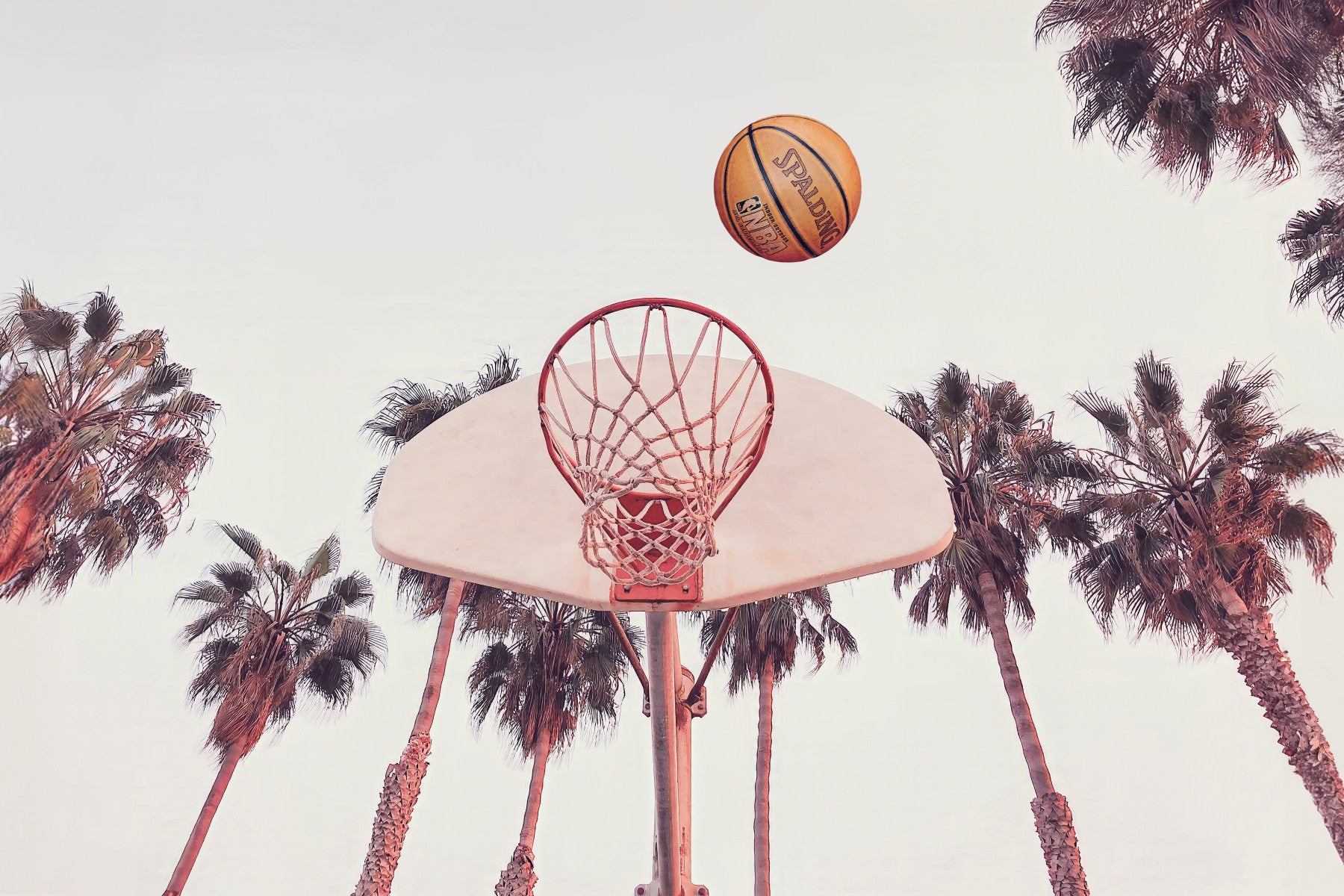 Basketbal muurschildering in your room — zoomed