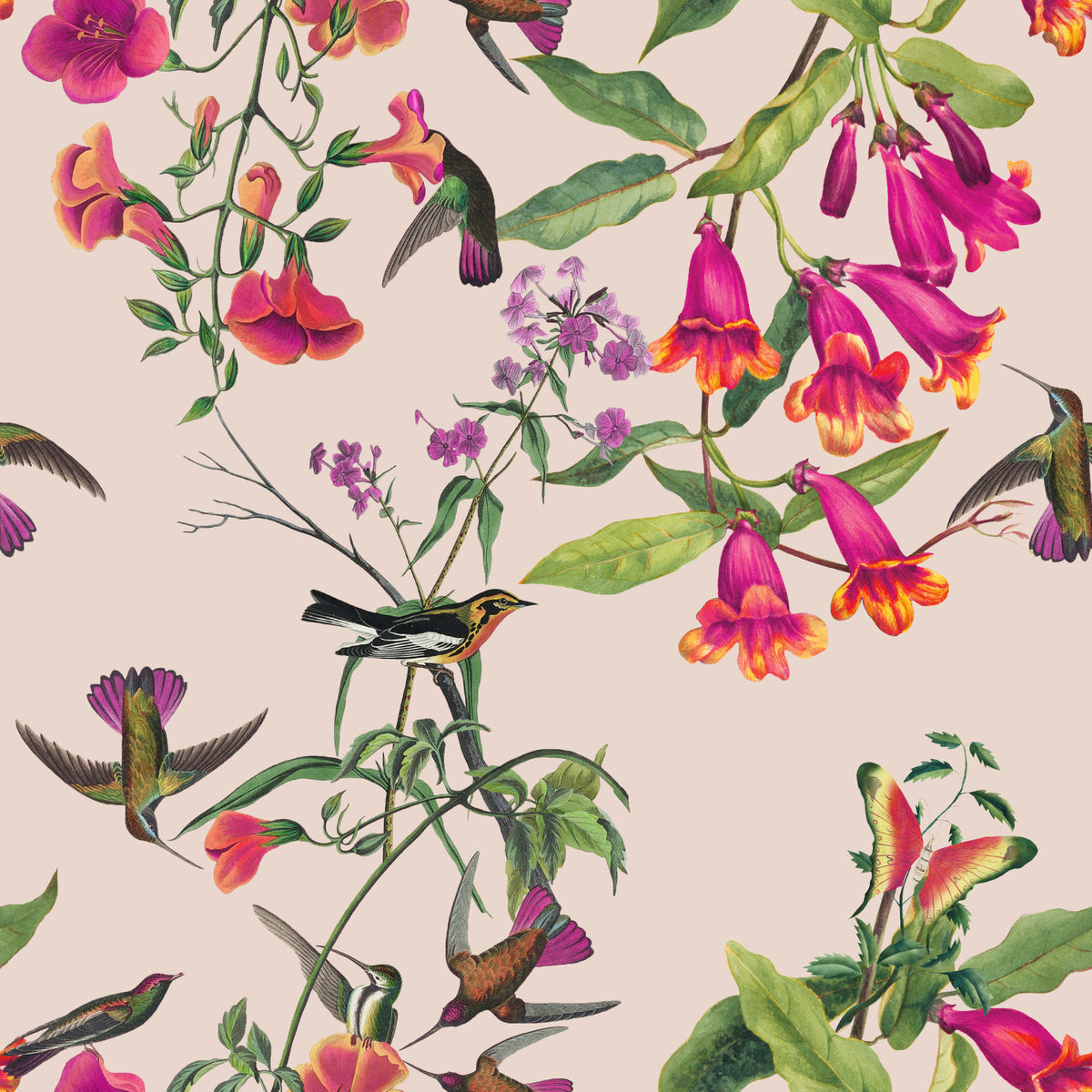 Tropen Hummingbird Rhapsody Wallpaper⁠