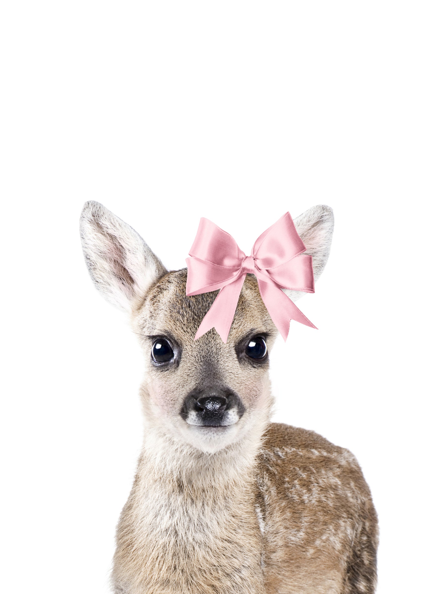 Baby Deer Mur Mural