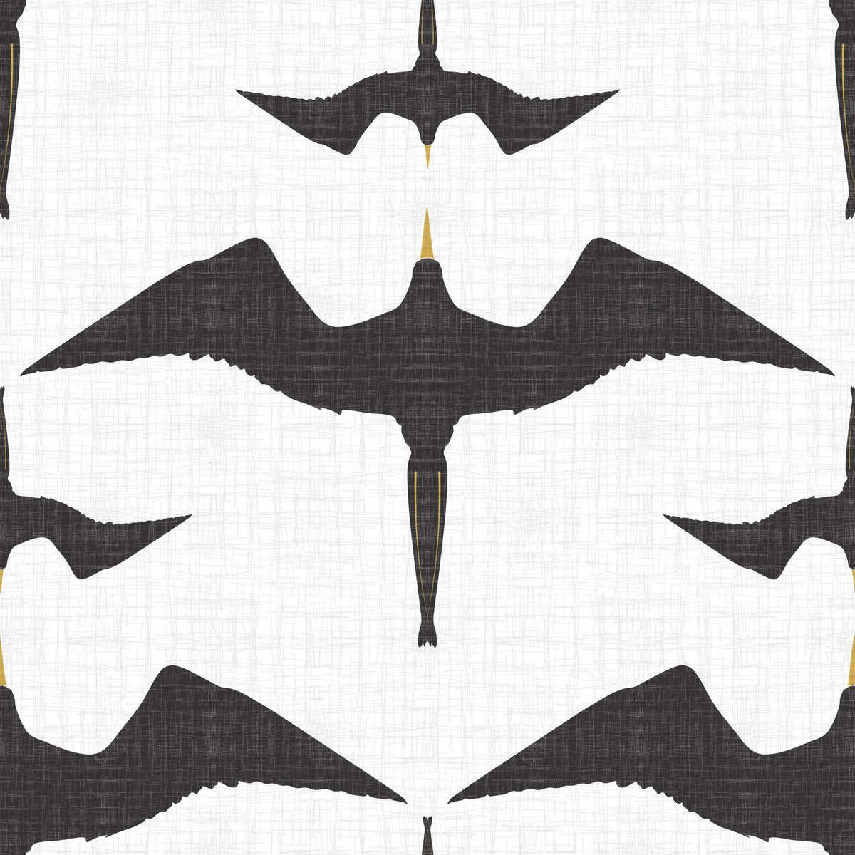 Sfondo bianco fregata rustico. in your room — zoomed
