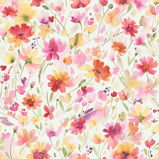 Fondo de pantalla de verano con flores silvestres del cosmos
