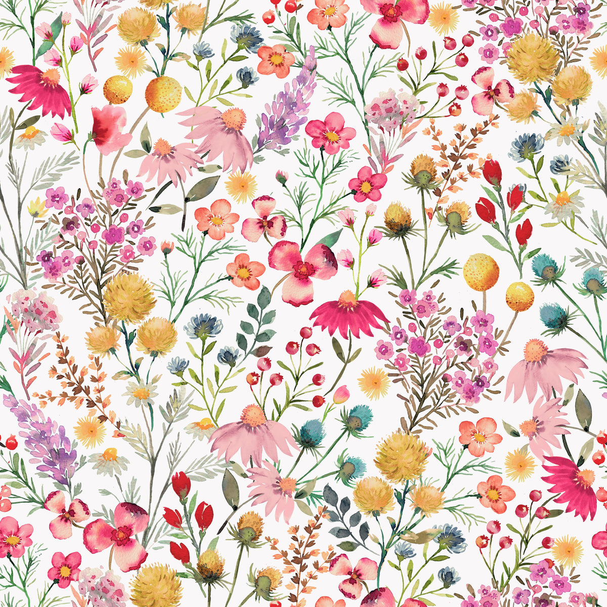 Delicate Botanical Dry Flowers Wallpaper⁠