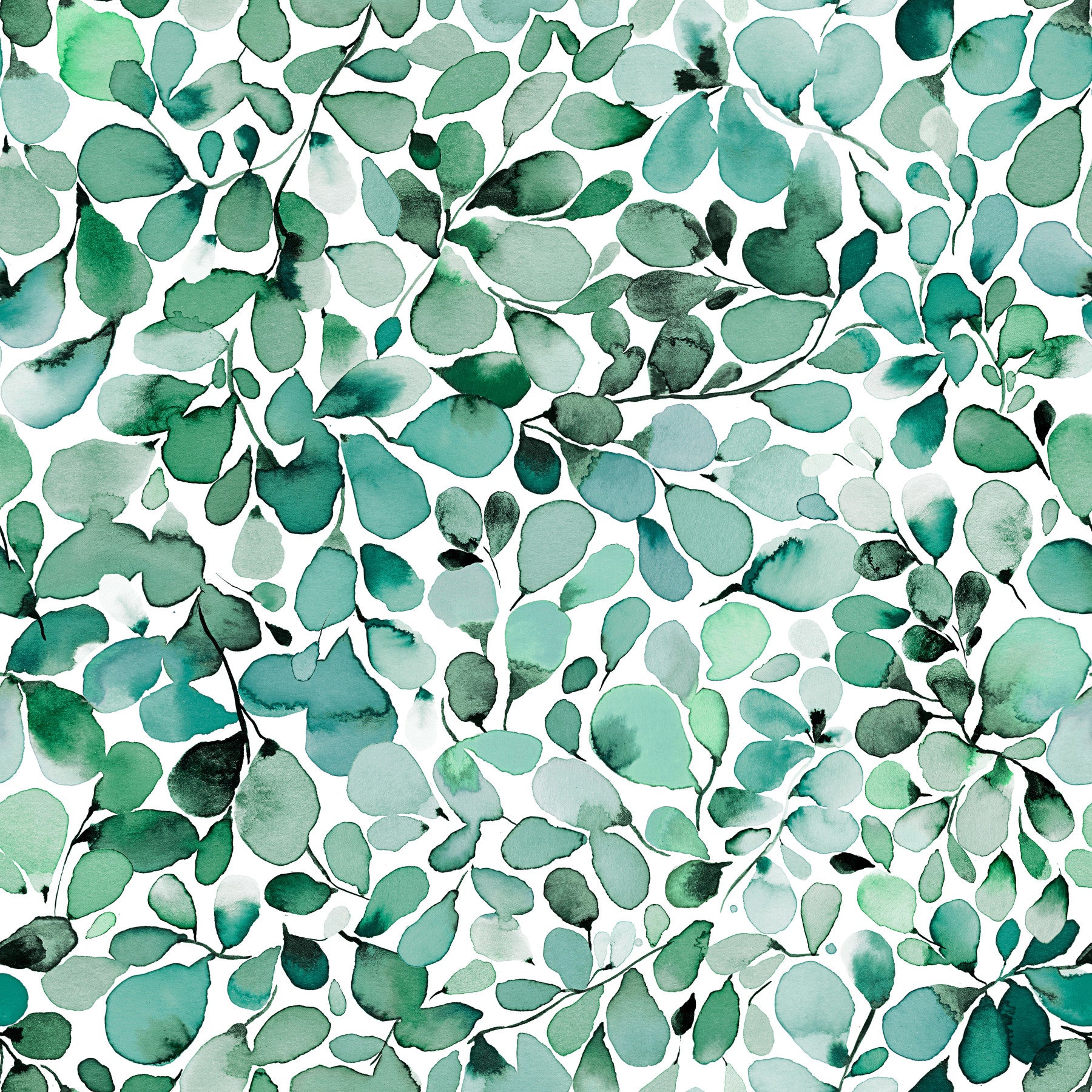 Eukalyptus Dschungelblätter Wallpaper⁠