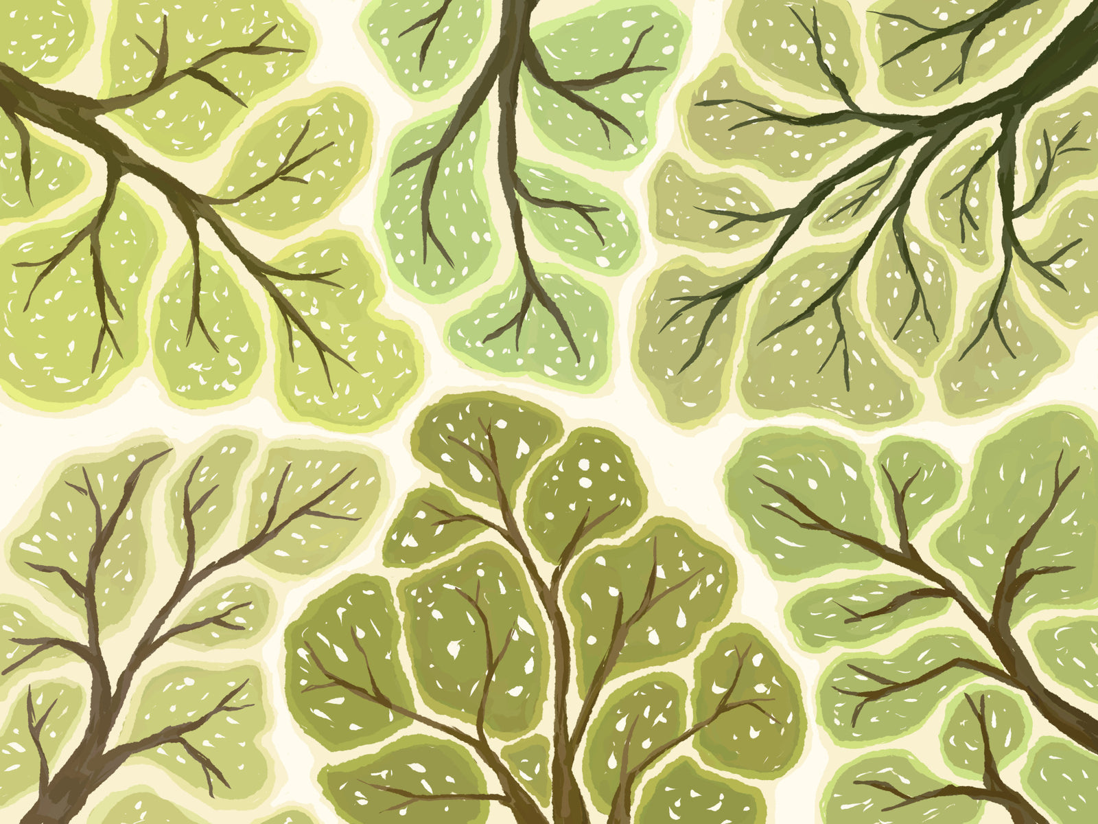 Crown Shyness - Forest Canopy Wall Mural in your room