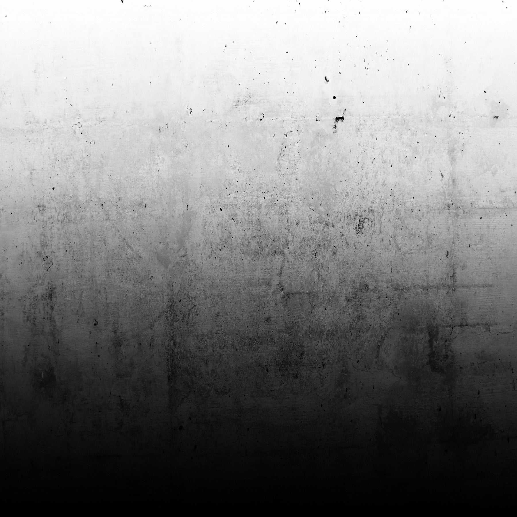 Ombre noire sur la murale murale en béton