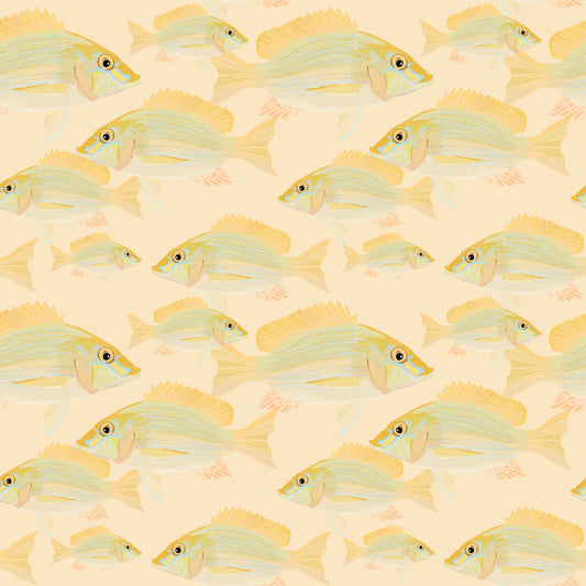 Bream di sabbia - Il murale del muro di pesce