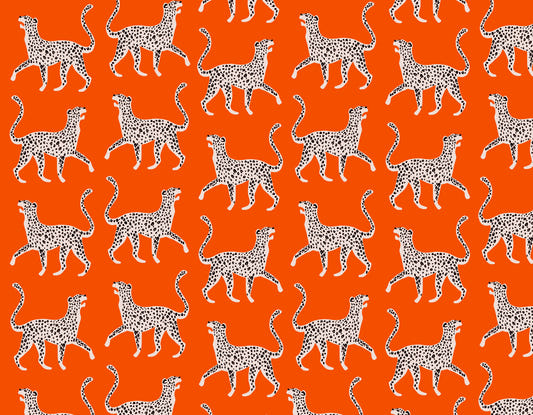 Cheetah chich seinämaalaus
