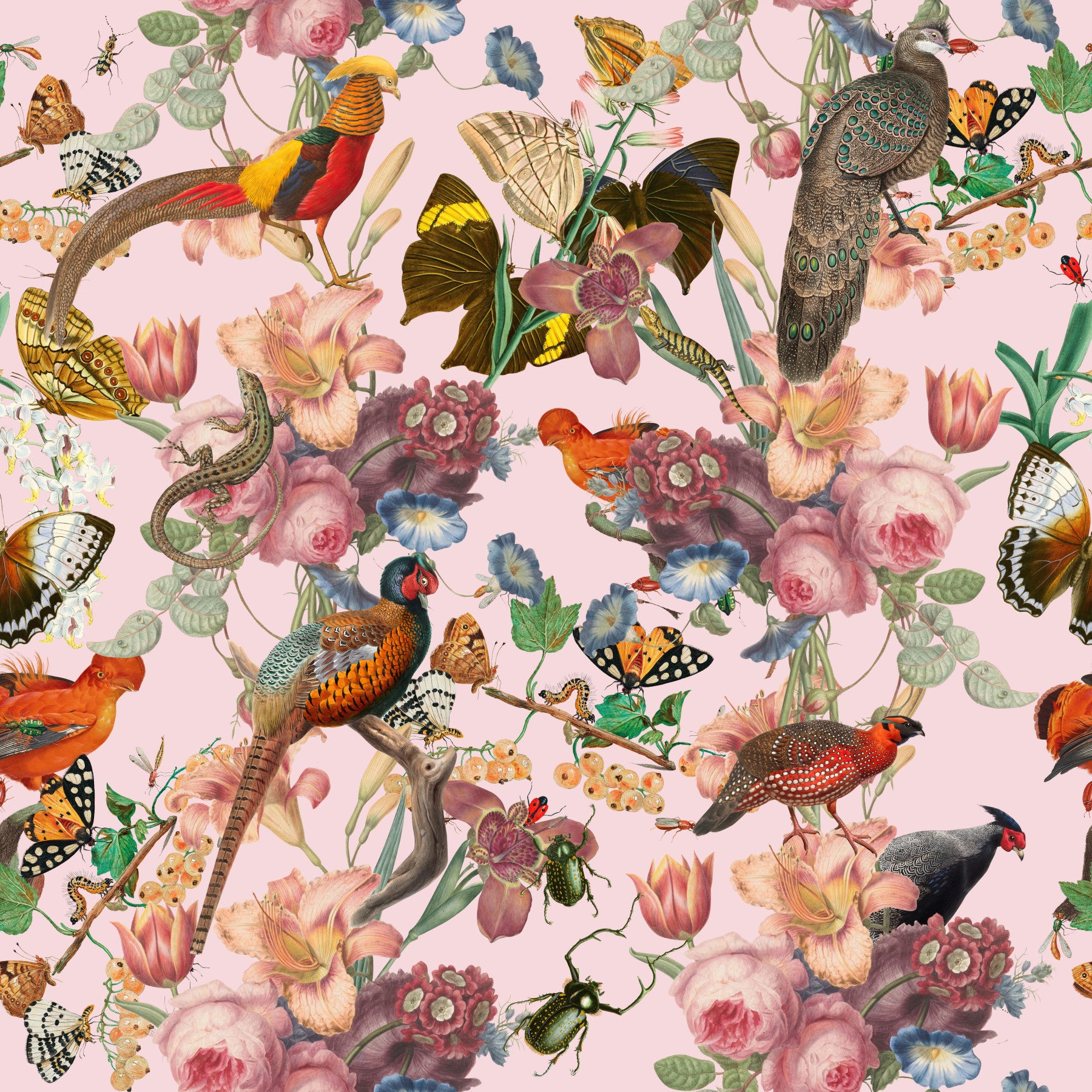 Diversi de perete mural in your room — zoomed