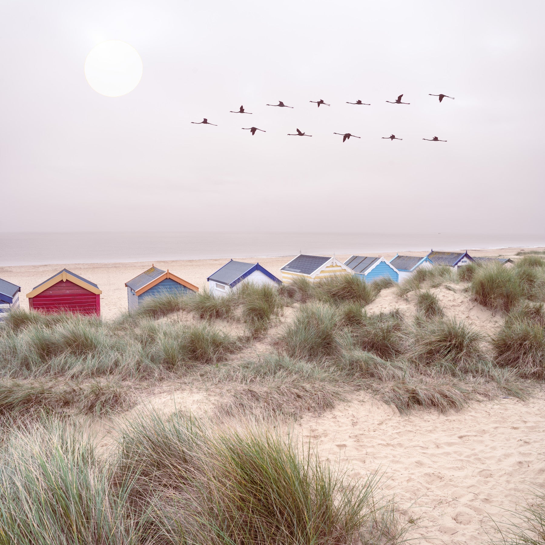 Sandy Shore Escape Wall Mural