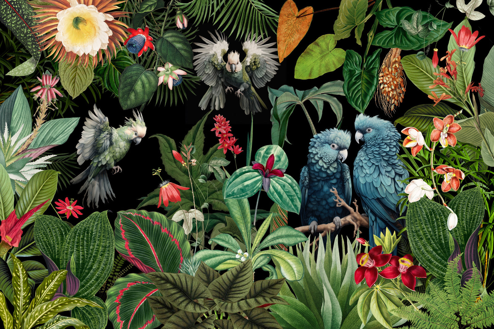 Tropical Vintage Paradise Collage Wall Mural