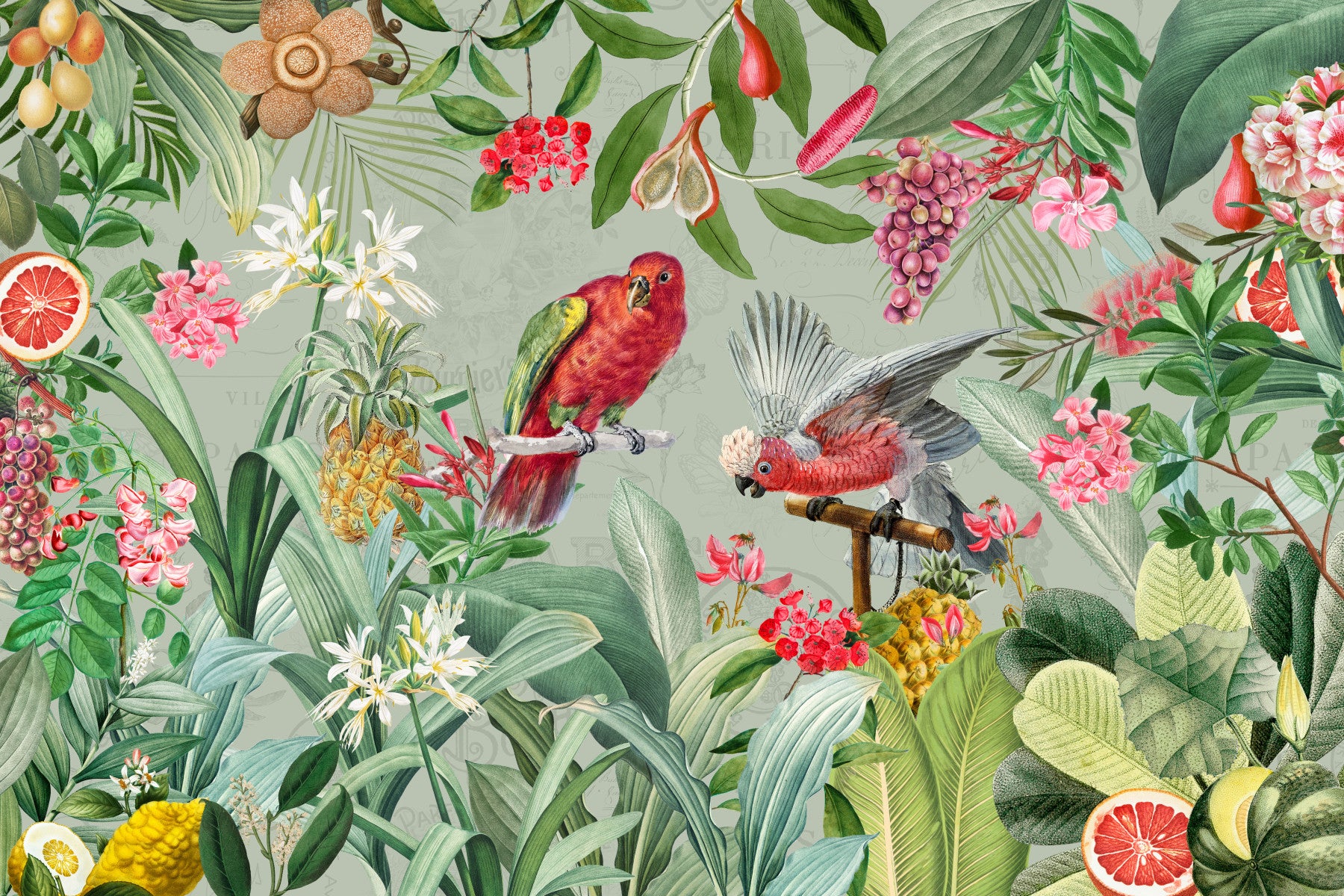 Enchanted Vintage Garden of Eden Wall Mural