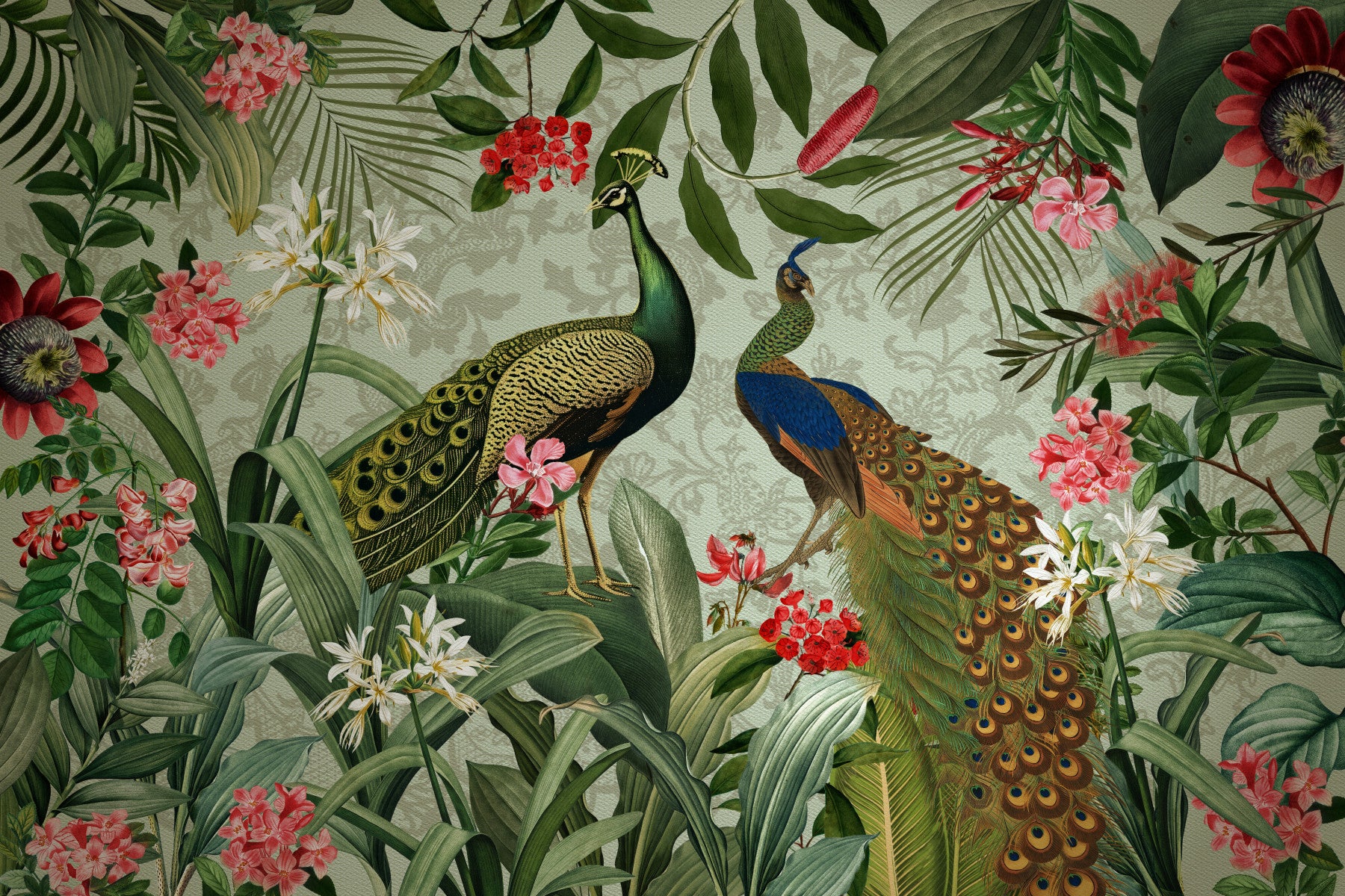 Murale de peacock botanique murale murale