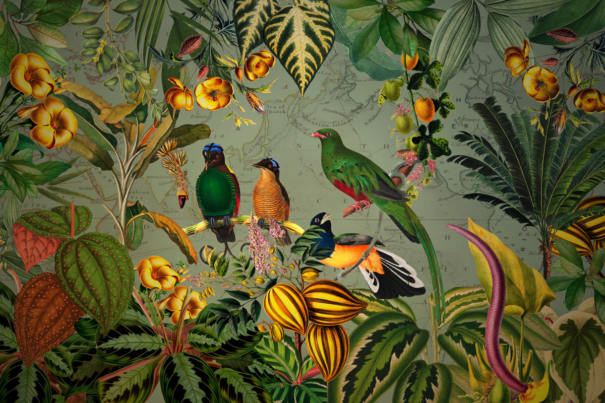 Tropical Explorers' Chart Wall Mural in your room