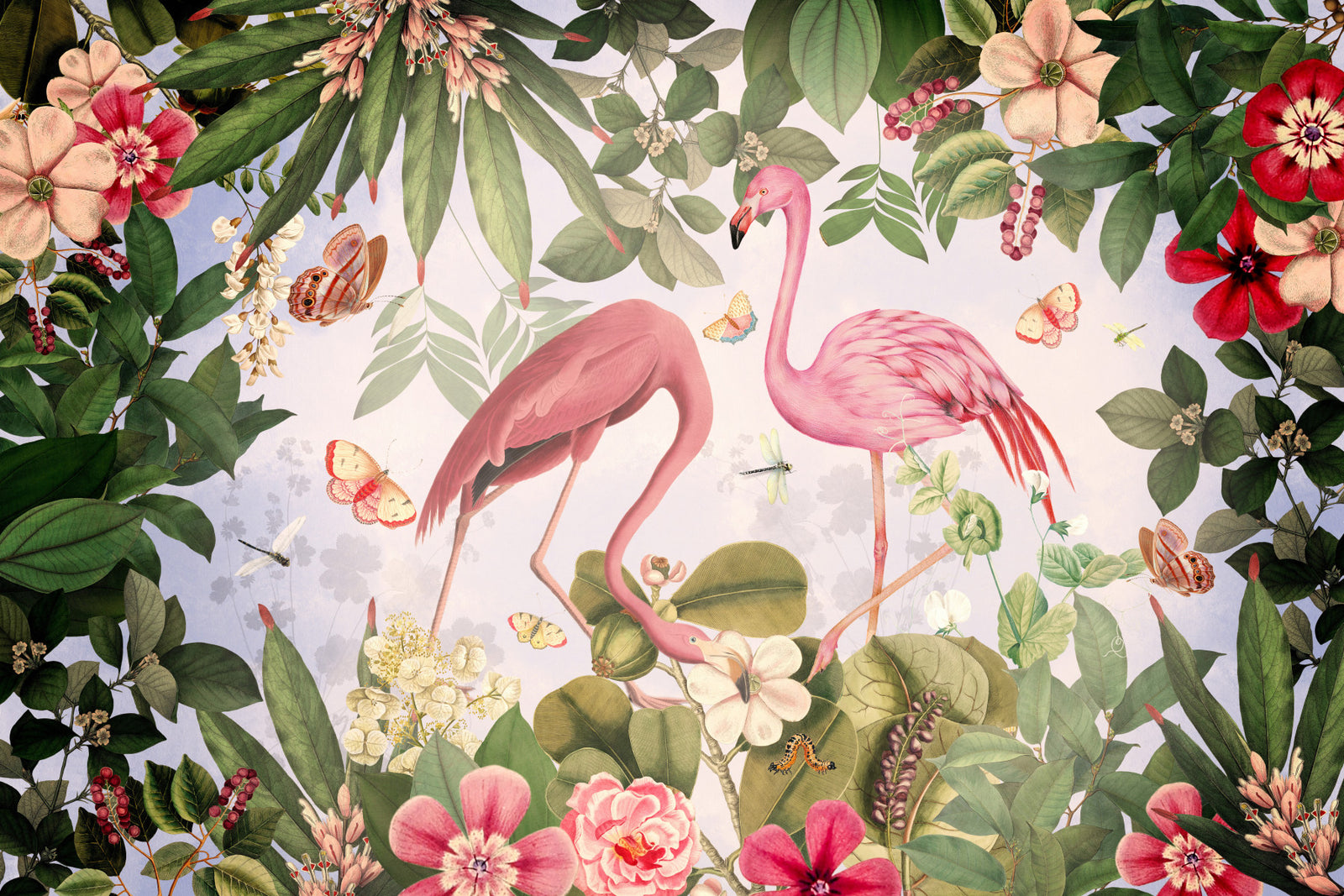Murale da parete da sogno fenicottante botanico