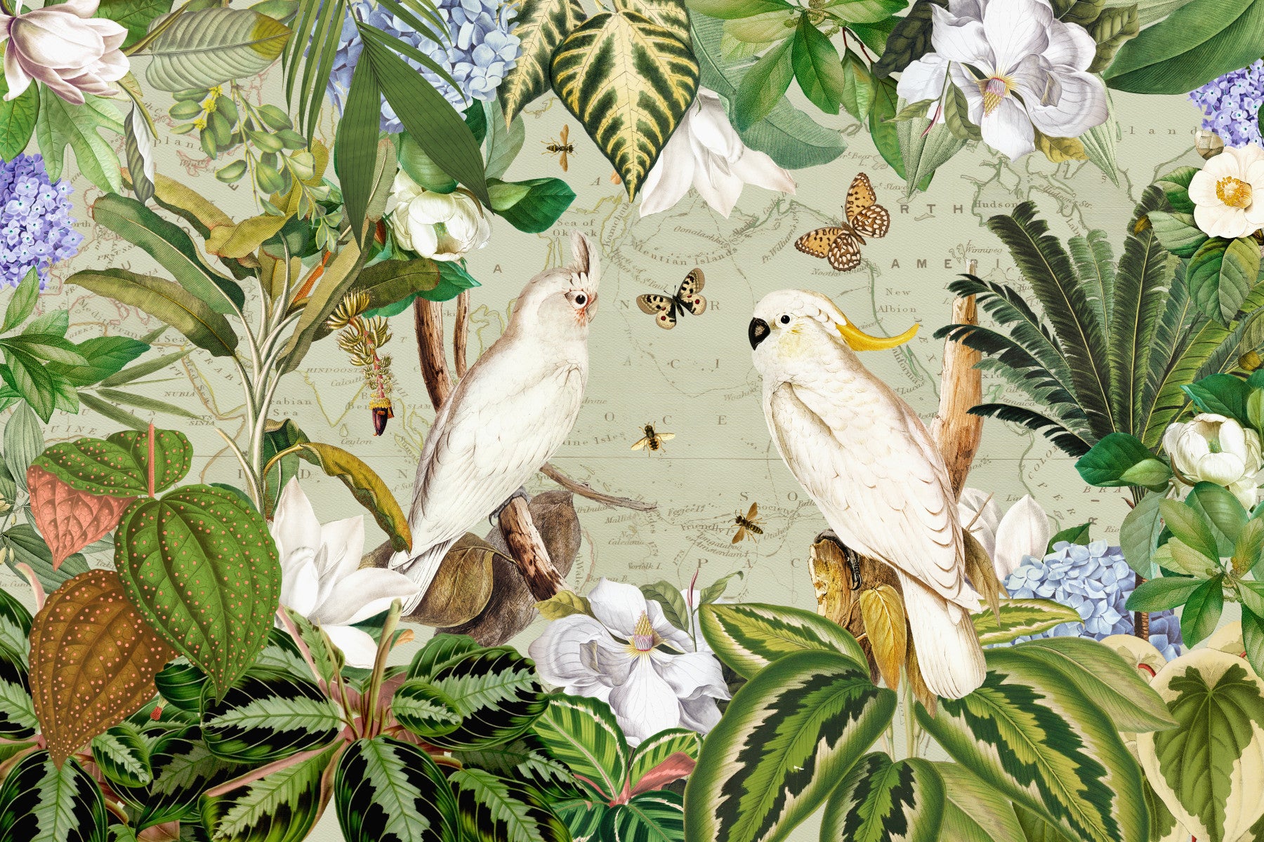 Botaniska upptäcktsresande väggväggmålning