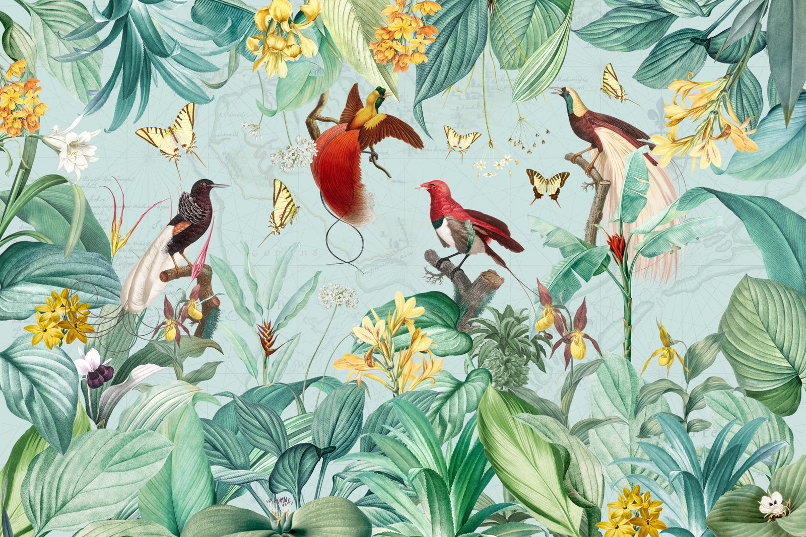 Oiseaux de paradis murale murale