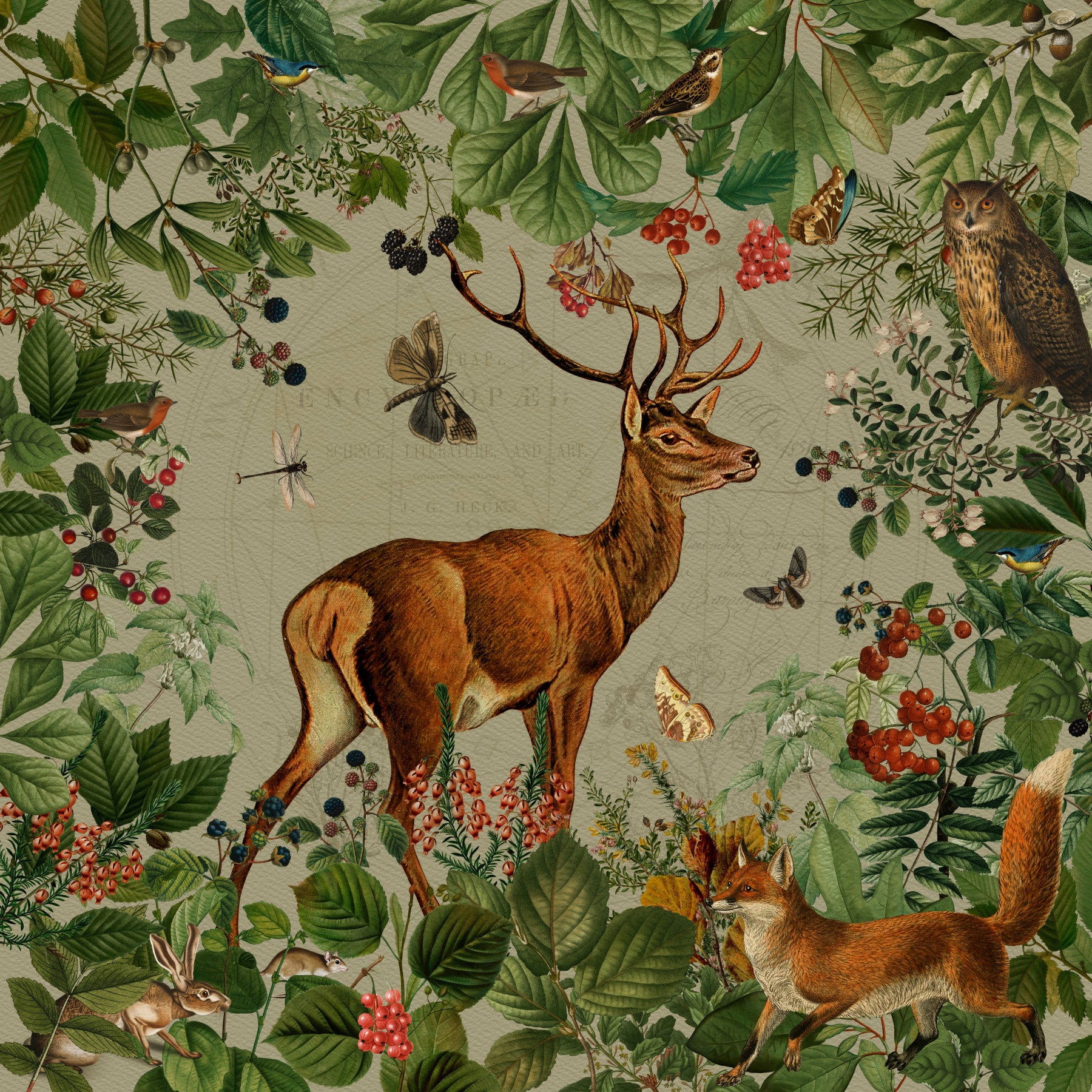 Woodland Wonders Wall Mural