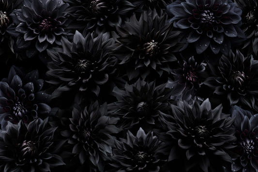 Minuit de la fleur de la nuit 1 murale