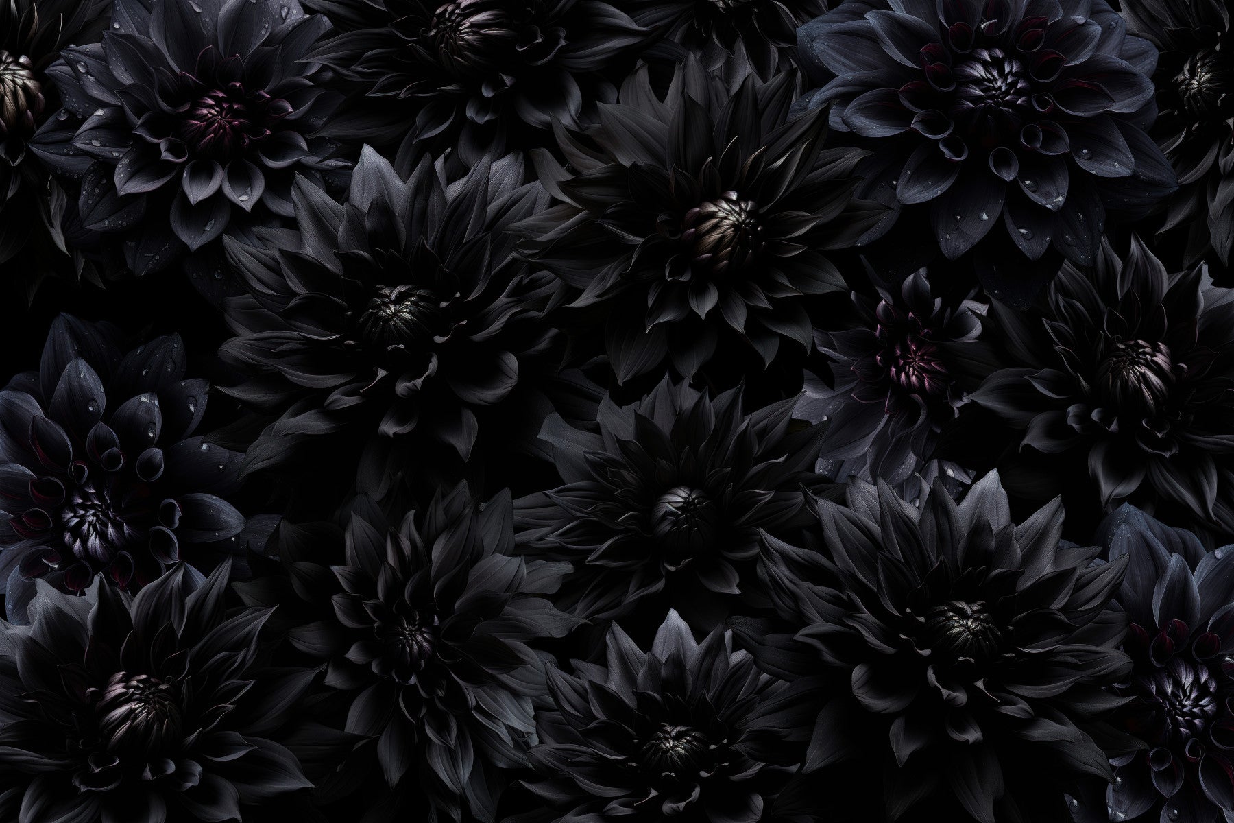 Midnight Bloom 1 Wall Mural