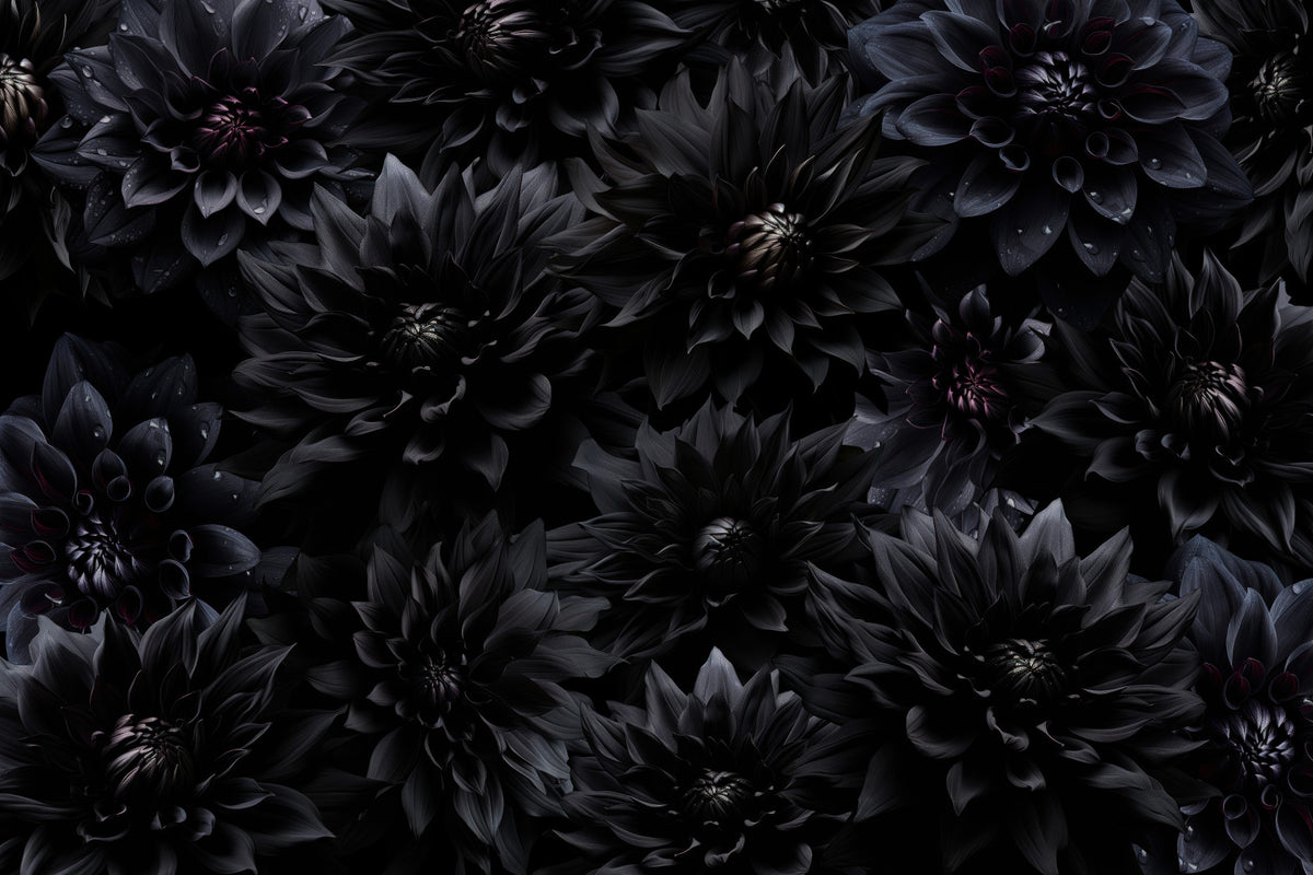 Midnight Bloom 1 muro murale in your room — zoomed