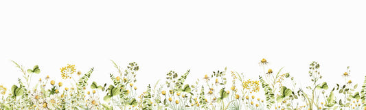 Sommaräng blomma väggmålning