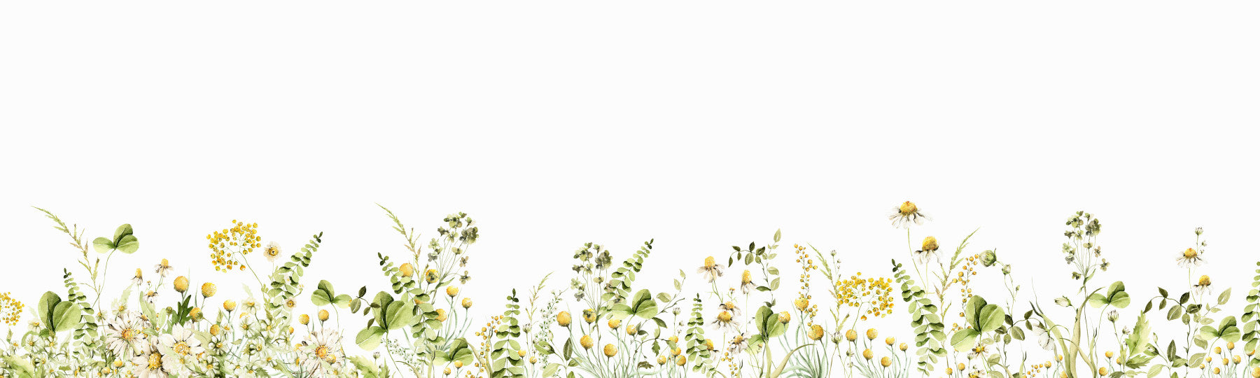 Sommerwiesenblüte Wandmalerei