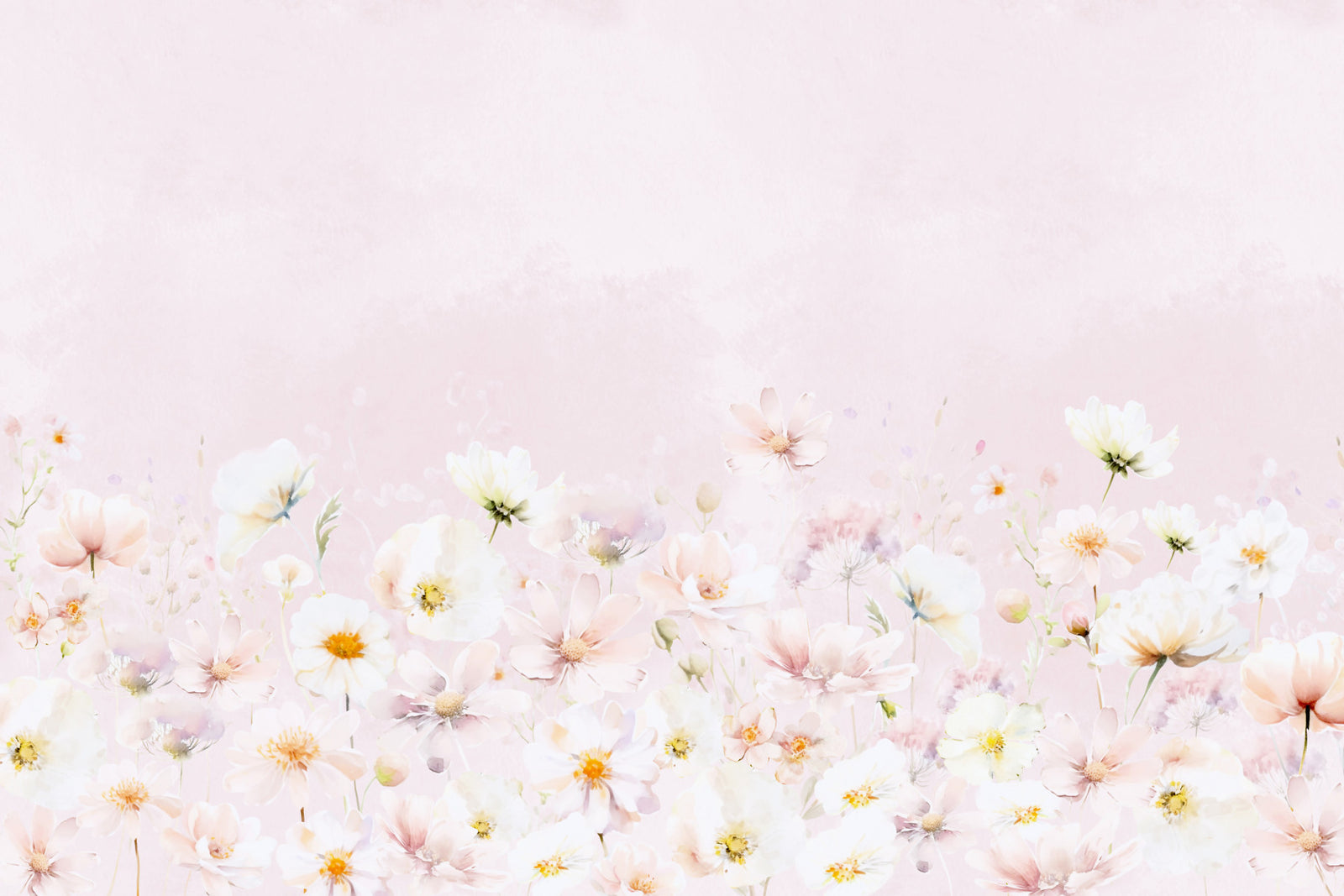 Blush blous blusom prato murale murale