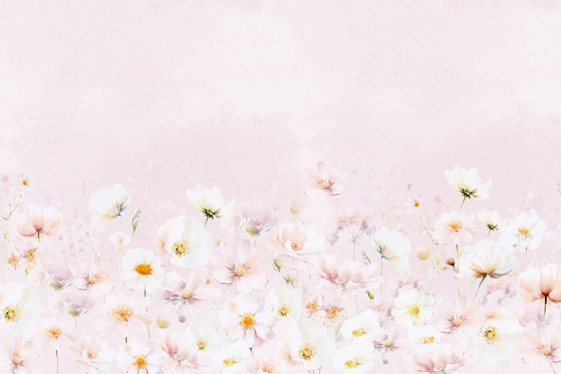 Blush blous blusom prato murale murale in your room — zoomed