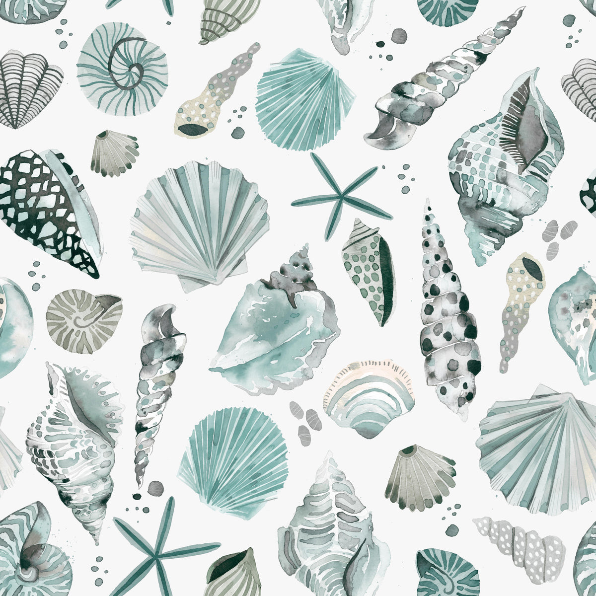 Sea Shells Marine Coastal Summer Blue Wallpaper⁠ in your room