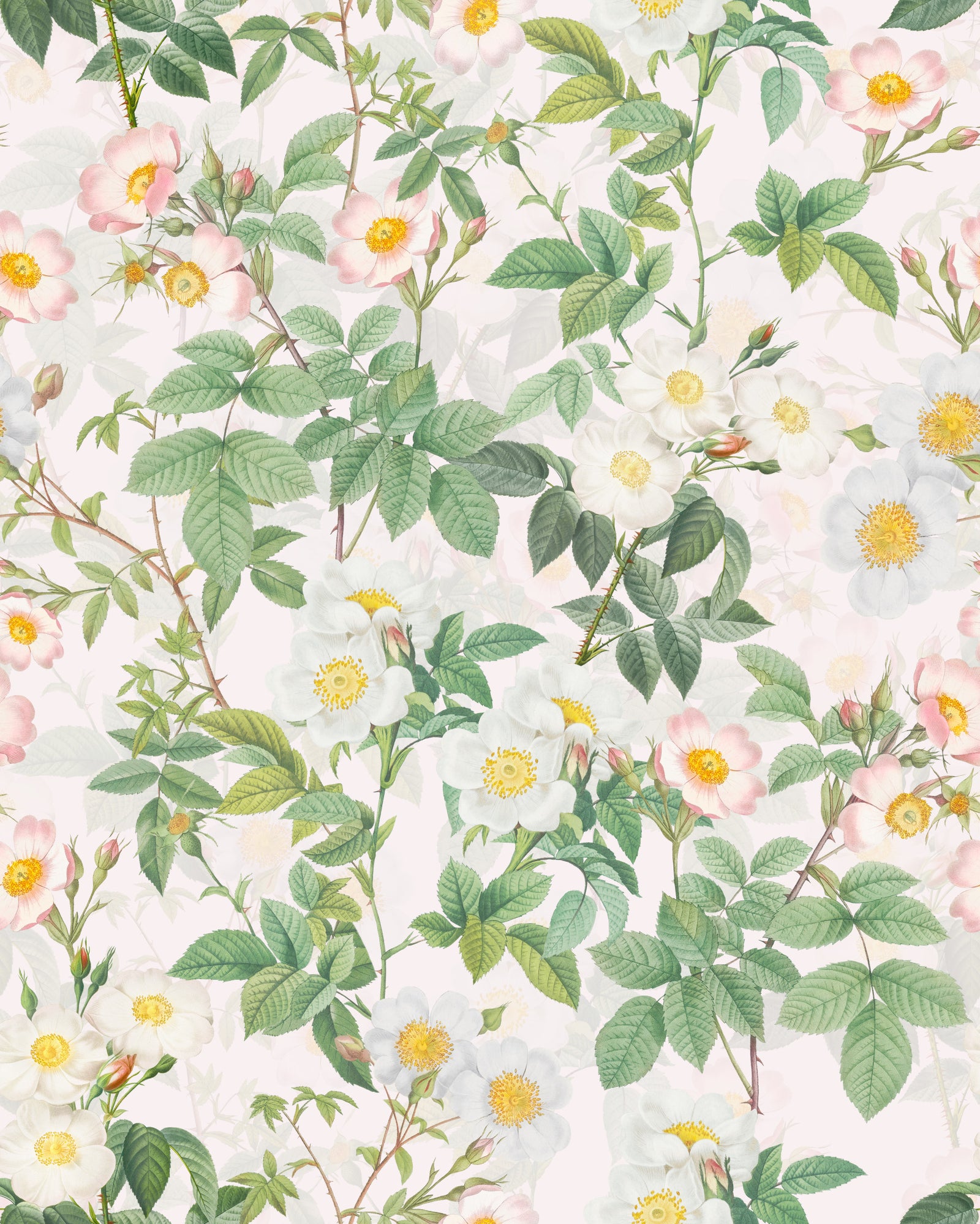 Fond d'écran de rêverie du jardin roser⁠